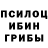 Галлюциногенные грибы Psilocybe Z BBK