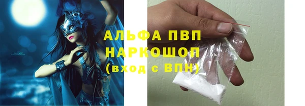 стафф Алексин